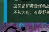 塞尔达传说王国之泪黄昏勇者套全收集攻略 黄昏之勇者套装位置