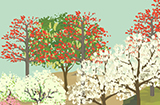 游戏日推荐享受佛系种树的快乐《老农种树》