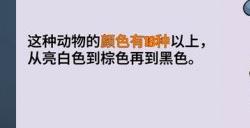 互动游戏《羊驼想知道为什么》登陆Steam 支持中文