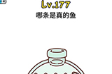 脑洞大大大第177关攻略  哪条是真的鱼