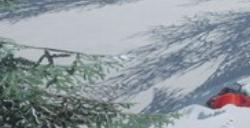 《雪橇手》下载安装教程介绍