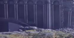《艾尔登法环：黑夜君临》特殊地形相关成就攻略分享