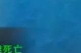 乱斗西游2战宠如何转换成兽玉