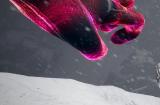 PSVR2 游戏 7 月下载榜：《Synapse》击败《Beat Saber》登顶