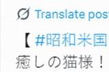 《昭和米国物语》官方暗示游戏能撸猫 放松心情