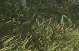 《无限暖暖》气质圆圆帽怎么获得