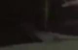 《霍格沃茨之遗》NS上市预告 游戏反响不错