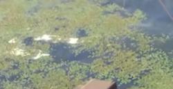 《无限暖暖》哭吧哭吧店铺位置介绍