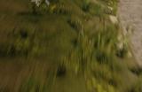 打造梦寐以求的赛车！《EA Sports WRC》11月3日正式发布