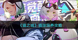 猫之城猫球怎么培养  猫球培养攻略