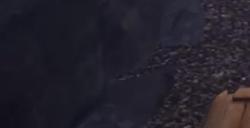 《无限暖暖》帕朵的蝴蝶结店位置介绍