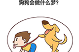 最强大脑3第8关攻略  狗狗会做什么梦