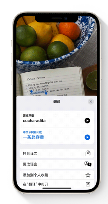 iOS 15这几个你绝对用得上的功能盘点-7.png