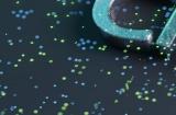 科学家警告 ChatGPT用电量堪比1.7万个美国家庭