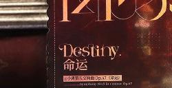 《宿命回响：弦上的叹息》全新周边上架，谁能拒绝开演纪念票？