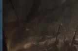 暗黑类奇幻游戏《暗黑炽天使》Steam页面上线 支持中文