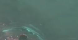 《光与影：33号远征队》哥布鲁打法技巧分享