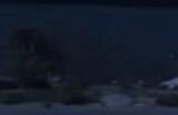 《GTAOL》海军左轮手枪获得方法介绍