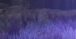 《艾尔登法环》战场魔法师犹格BOSS图鉴