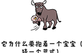 谐音梗挑战第30关攻略  它为什么要抱着一个宝宝