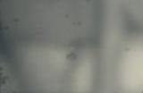 影之刃怎么打罪恶之路