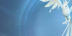 《梦幻西游三维版》全门派平衡迎调整，变异召唤兽新增进阶功能！