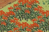江南百景图废墟怎么探索  探险废墟攻略