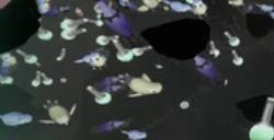 《星际游者》下载安装教程介绍