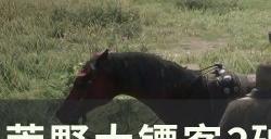 《荒野大镖客2》破损海盗刀位置在哪 破损海盗刀位置详情