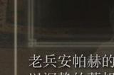《艾尔登法环》dlc老贤者面具的效果