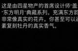 《剑星》国色牡丹怎么获得
