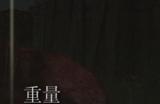 《艾尔登法环》翼剑系列是否适合仿身泪滴介绍