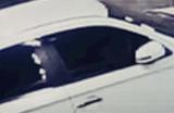 《东京都市谜案特搜事件簿》下载安装教程介绍