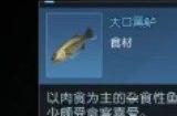 黎明觉醒大口黑鲈位置一览| 黎明觉醒大口黑鲈用什么鱼饵?