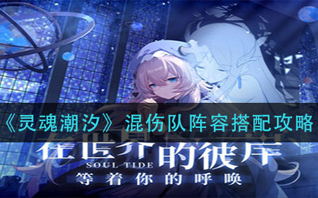 灵魂潮汐混伤队阵容怎么搭配  混伤队阵容搭配攻略