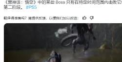 《黑神话：悟空》爆料：BOSS战需限时消耗一定血量才能进入二阶段