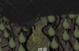 《光与影：33号远征队》白色经怪位置分享