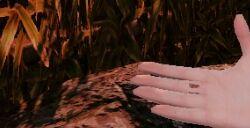 ff14巧儿陆行鸟王子宠物怎么获得 ff14巧儿陆行鸟王子获得方法
