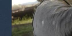 Steam秋季特卖 《荒野大镖客2》入围热销榜第八