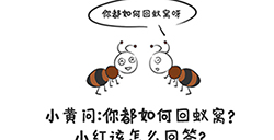 谐音梗挑战第33关攻略  你都如何回蚁窝