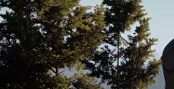 《颂钟长鸣》游戏造采集站需要注意什么