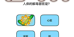 烧脑大师脑洞我最大第74关攻略  人体的解毒器官是