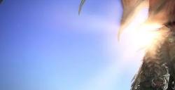 ff14魔界花坐骑怎么获得 ff14魔界花获得方法