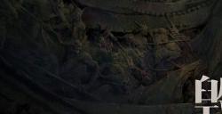 探索庇护之地的起源!解锁《暗黑破坏神:不朽》周年庆资料片新地图!