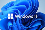 微软向Win10用户强推Win11更新检查工具
