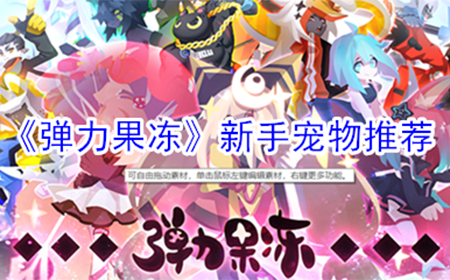 弹力果冻新手带什么宠物  新手宠物推荐