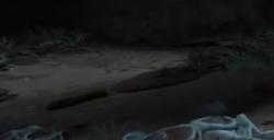 《艾尔登法环》双尊腐骑士BOSS图鉴