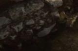 《最后纪元》能量护盾影响介绍