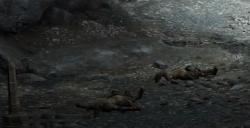 《艾尔登法环》盖利德发狂斗士BOSS图鉴