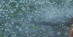 《明末：渊虚之羽》永烈千秋赵云打法技巧分享